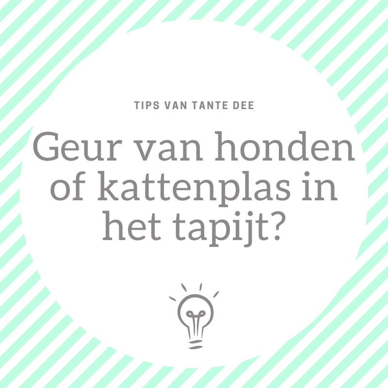 Geur van honden of kattenplas in het tapijt?
