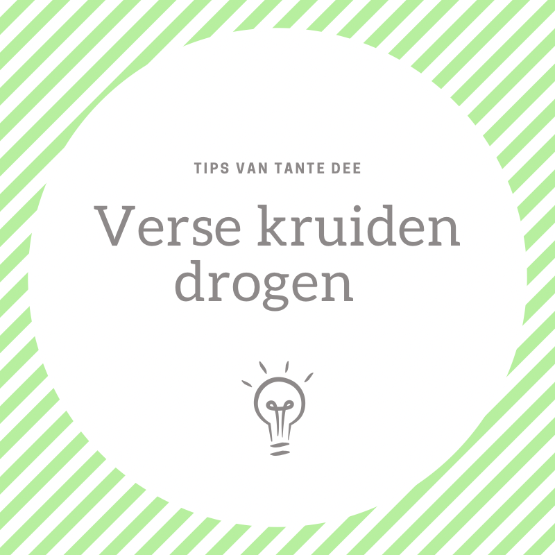 Verse kruiden drogen